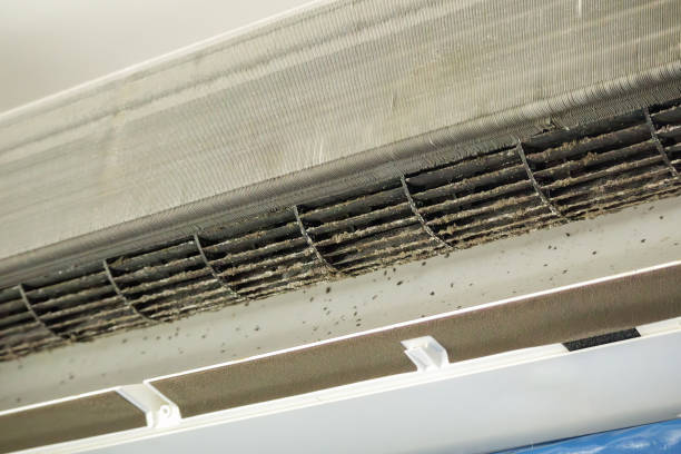 Ductwork Cleaning Services in Lake Mack Forest Hills, FL